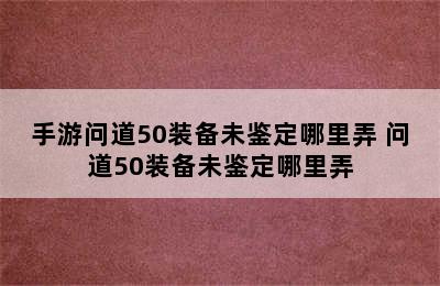 手游问道50装备未鉴定哪里弄 问道50装备未鉴定哪里弄